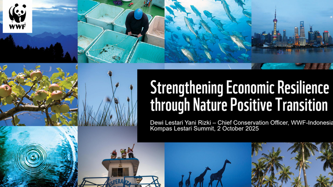 Strengthening Economic Resilience through Nature-Positive Transition