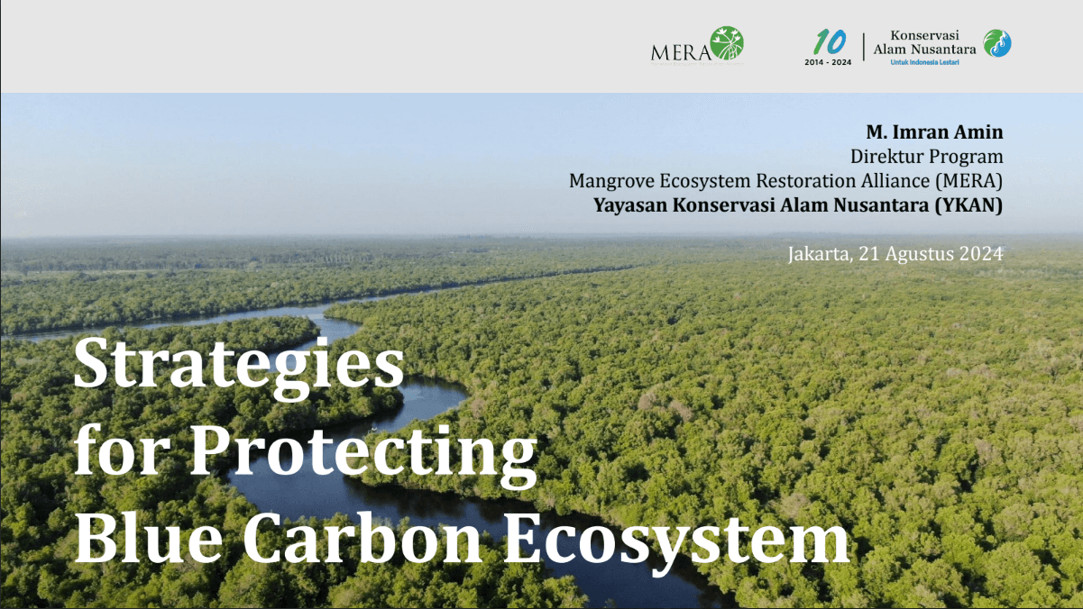 Strategies for Protecting Blue Carbon Ecosystem - M Imran Amin - YKAN