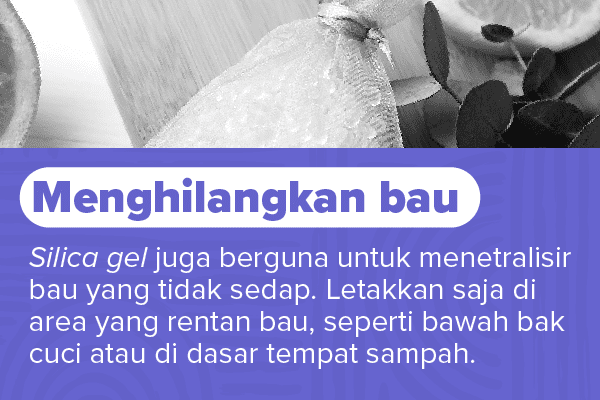 Jangan Dibuang! Ini Kegunaan Silica Gel di Rumah