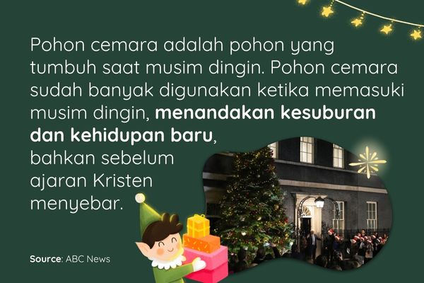 Dibalik Tradisi Menghias Pohon Natal: Kenapa Harus Pohon Cemara?