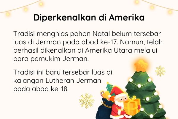 Dibalik Tradisi Menghias Pohon Natal: Kenapa Harus Pohon Cemara?