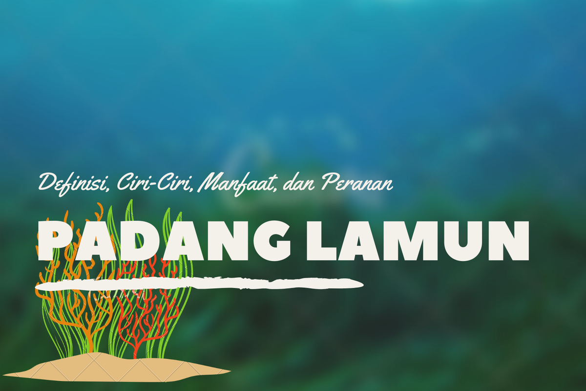 Padang Lamun: Definisi, Ciri-Ciri, Manfaat, dan Peranannya